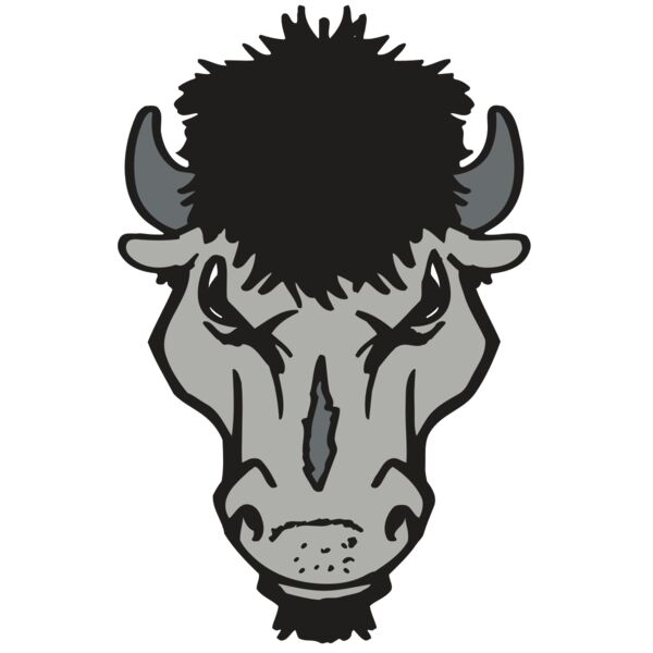 AR BUFFALO 15 RC Thumbnail